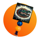 Sport team Badge Reel